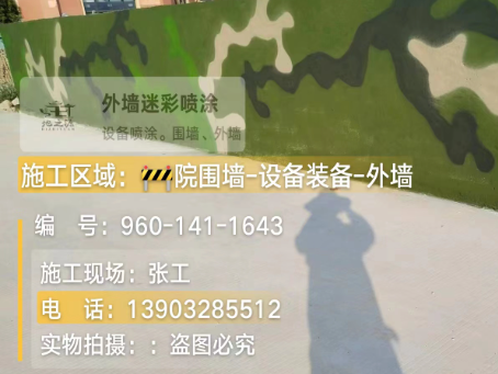 潮州 迷彩漆喷涂价格（按平方米计费）