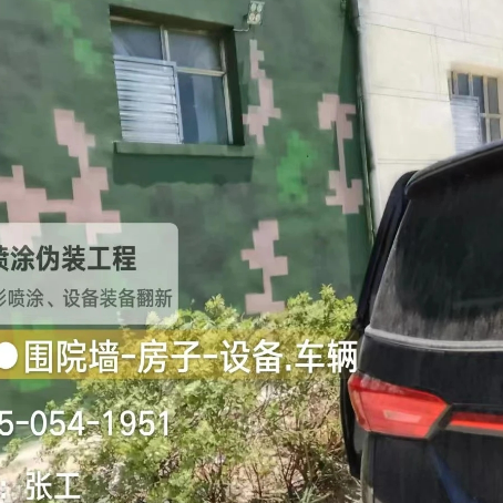 潮州数码迷彩漆施工